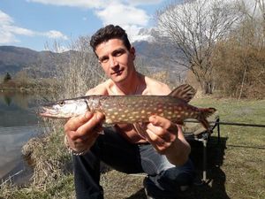 Northern Pike