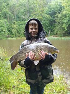 Common Carp