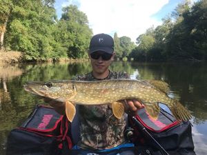 Northern Pike