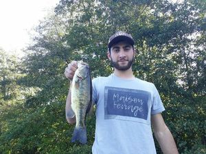 Largemouth Bass