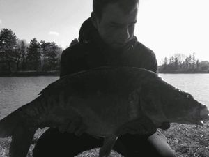 Mirror Carp
