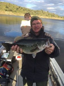 Largemouth Bass