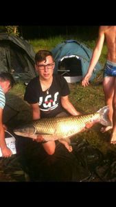 Silver Carp