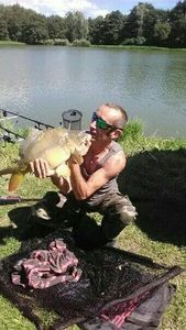 Mirror Carp