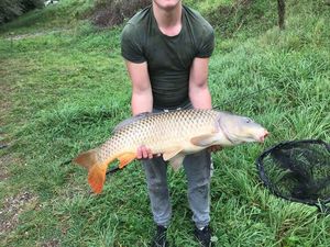 Silver Carp