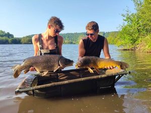 Common Carp