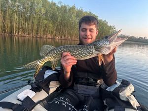 Northern Pike