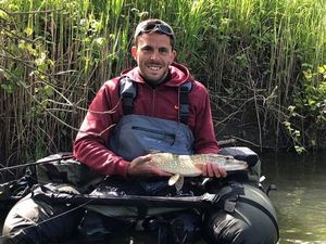 Chain Pickerel