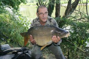 Mirror Carp