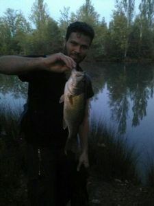 Largemouth Bass