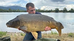 Mirror Carp