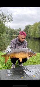 Mirror Carp
