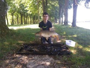 Mirror Carp