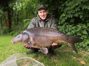 Mirror Carp