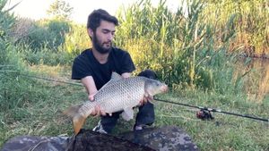Common Carp