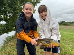Tench