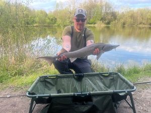 Sturgeon