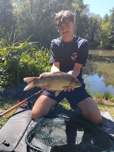 Crucian Carp