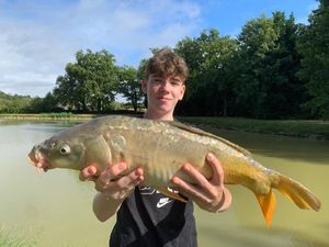 Mirror Carp