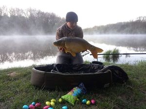 Mirror Carp
