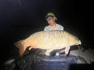 Mirror Carp