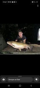 Grass Carp