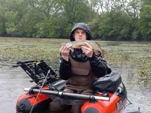 Northern Pike