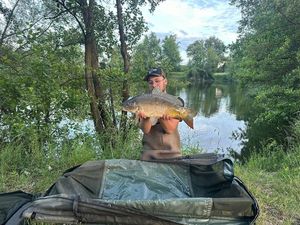 Mirror Carp