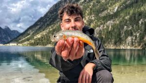 Brook Trout