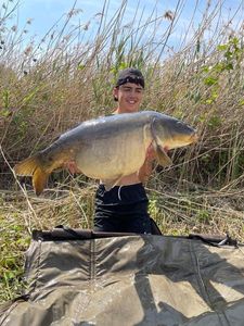 Mirror Carp