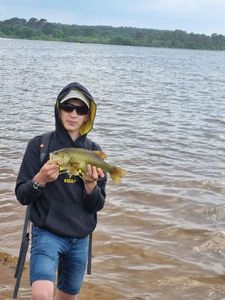 Smallmouth Bass