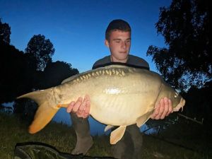 Mirror Carp