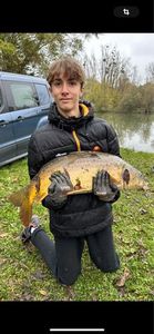 Common Carp