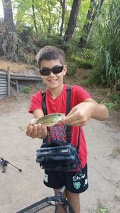 Largemouth Bass