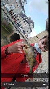 European Perch