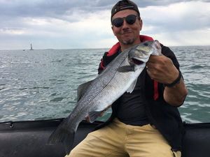European Bass (Seabass)