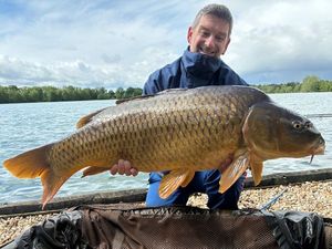 Common Carp