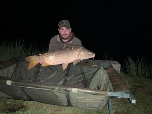 Mirror Carp