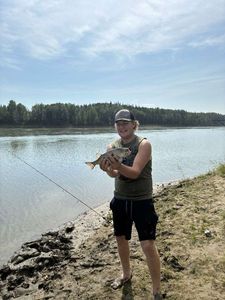Goldeye