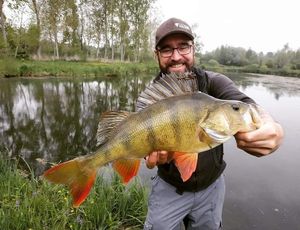 European Perch