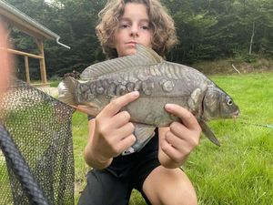 Mirror Carp