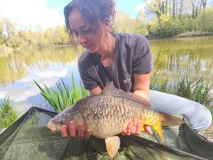 Mirror Carp