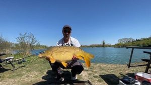 Common Carp