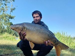 Mirror Carp
