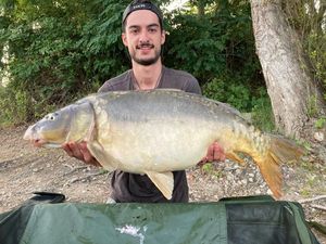Mirror Carp