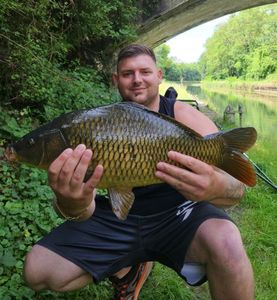 Common Carp