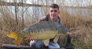 Mirror Carp