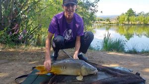 Mirror Carp