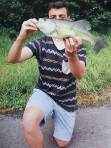 Largemouth Bass