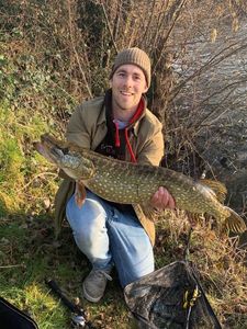 Northern Pike